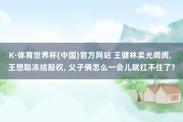 K·体育世界杯(中国)官方网站 王健林卖光阛阓, 王想聪冻结股权, 父子俩怎么一会儿就扛不住了?