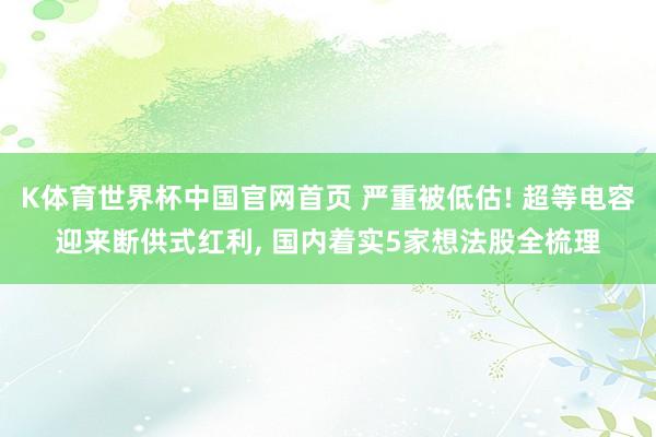 K体育世界杯中国官网首页 严重被低估! 超等电容迎来断供式红利, 国内着实5家想法股全梳理