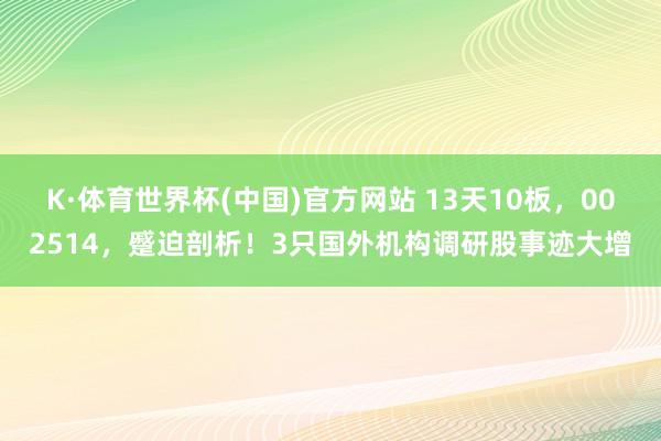 K·体育世界杯(中国)官方网站 13天10板，002514，蹙迫剖析！3只国外机构调研股事迹大增
