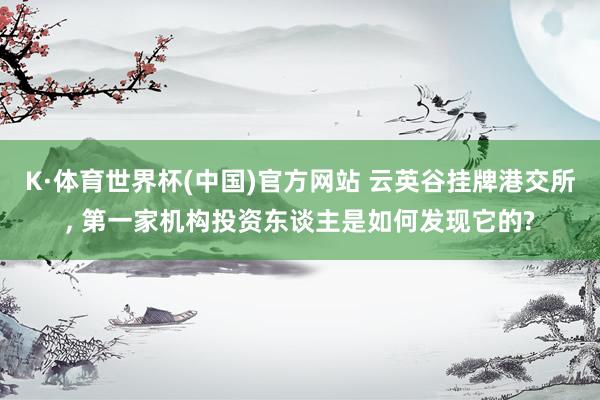 K·体育世界杯(中国)官方网站 云英谷挂牌港交所, 第一家机构投资东谈主是如何发现它的?