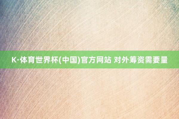 K·体育世界杯(中国)官方网站 对外筹资需要量