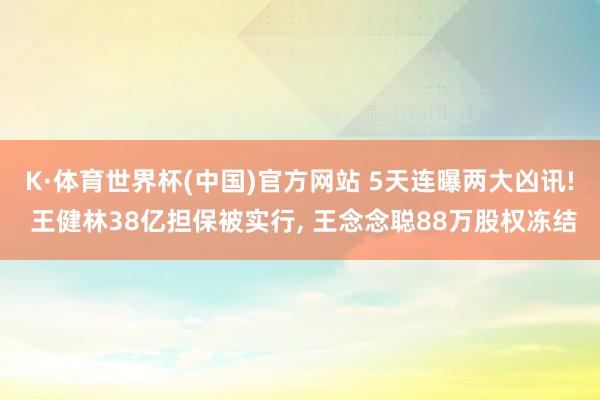 K·体育世界杯(中国)官方网站 5天连曝两大凶讯! 王健林38亿担保被实行, 王念念聪88万股权冻结