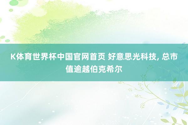 K体育世界杯中国官网首页 好意思光科技, 总市值逾越伯克希尔