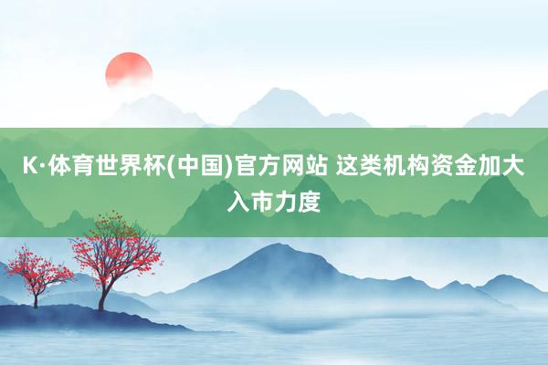 K·体育世界杯(中国)官方网站 这类机构资金加大入市力度