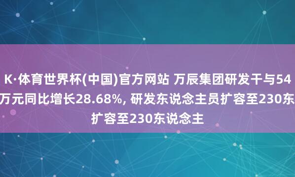K·体育世界杯(中国)官方网站 万辰集团研发干与5433.32万元同比增长28.68%, 研发东说念主员扩容至230东说念主