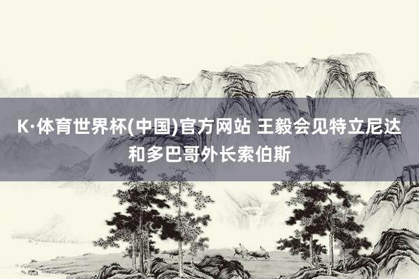 K·体育世界杯(中国)官方网站 王毅会见特立尼达和多巴哥外长索伯斯