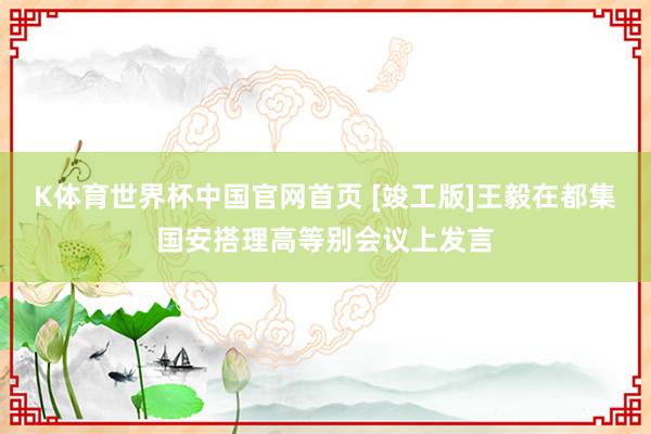 K体育世界杯中国官网首页 [竣工版]王毅在都集国安搭理高等别会议上发言