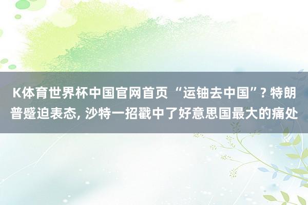 K体育世界杯中国官网首页 “运铀去中国”? 特朗普蹙迫表态, 沙特一招戳中了好意思国最大的痛处