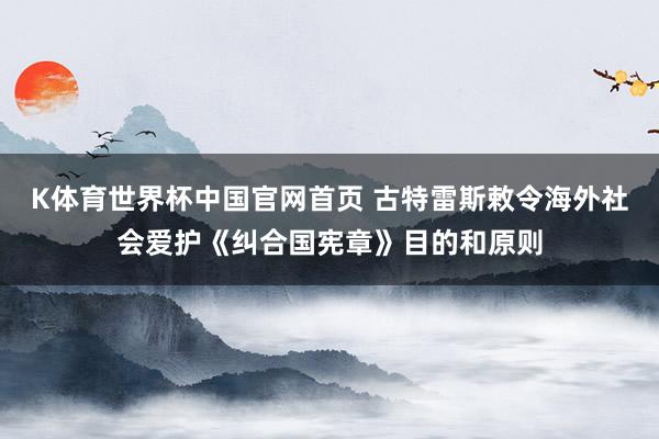 K体育世界杯中国官网首页 古特雷斯敕令海外社会爱护《纠合国宪章》目的和原则
