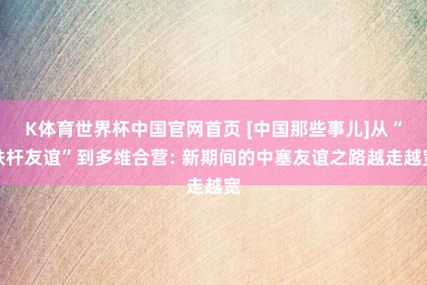 K体育世界杯中国官网首页 [中国那些事儿]从“铁杆友谊”到多维合营: 新期间的中塞友谊之路越走越宽