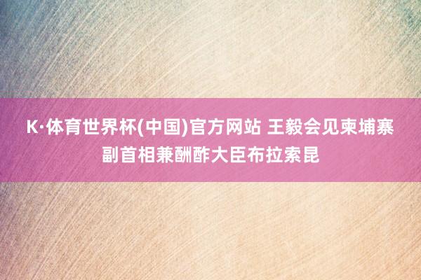 K·体育世界杯(中国)官方网站 王毅会见柬埔寨副首相兼酬酢大臣布拉索昆