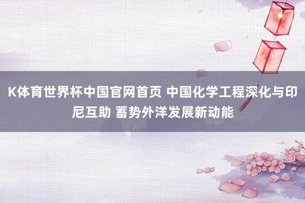 K体育世界杯中国官网首页 中国化学工程深化与印尼互助 蓄势外洋发展新动能