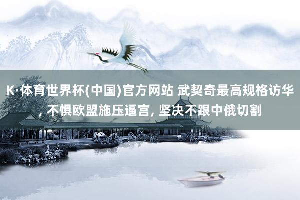 K·体育世界杯(中国)官方网站 武契奇最高规格访华, 不惧欧盟施压逼宫, 坚决不跟中俄切割