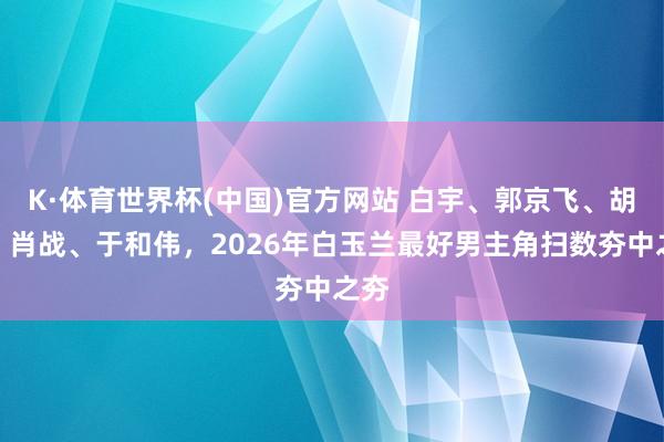 K·体育世界杯(中国)官方网站 白宇、郭京飞、胡歌、肖战、于和伟，2026年白玉兰最好男主角扫数夯中之夯