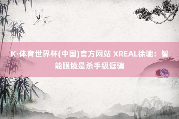 K·体育世界杯(中国)官方网站 XREAL徐驰：智能眼镜是杀手级诓骗