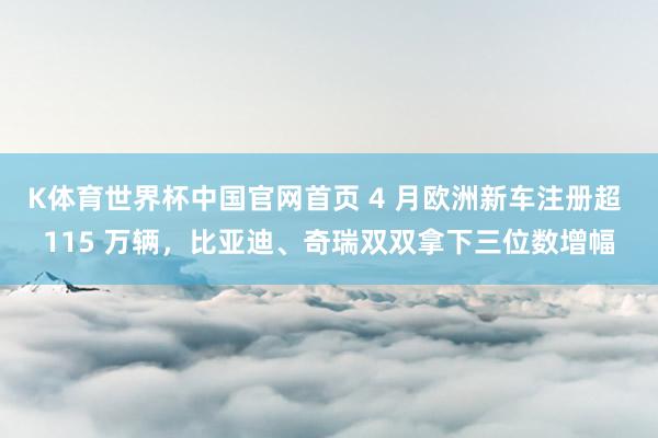 K体育世界杯中国官网首页 4 月欧洲新车注册超 115 万辆，比亚迪、奇瑞双双拿下三位数增幅