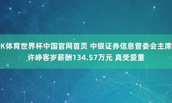 K体育世界杯中国官网首页 中银证券信息管委会主席许峥客岁薪酬134.57万元 真受爱重