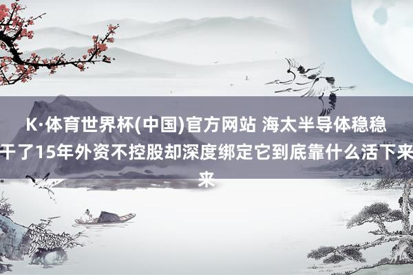 K·体育世界杯(中国)官方网站 海太半导体稳稳干了15年外资不控股却深度绑定它到底靠什么活下来