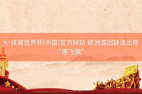 K·体育世界杯(中国)官方网站 欧洲或因缺油出现“停飞潮”